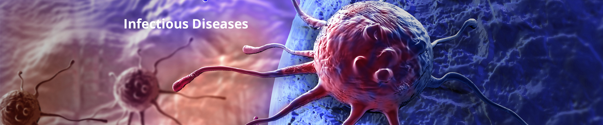 Infectious-Diseases