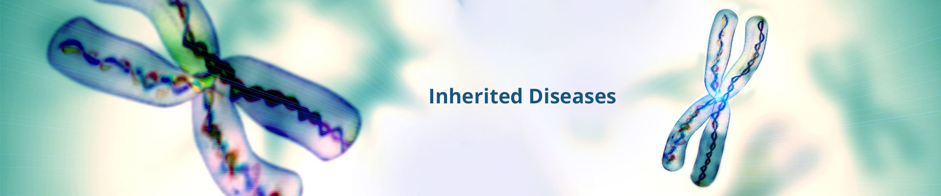 Inherited-Diseases-V2