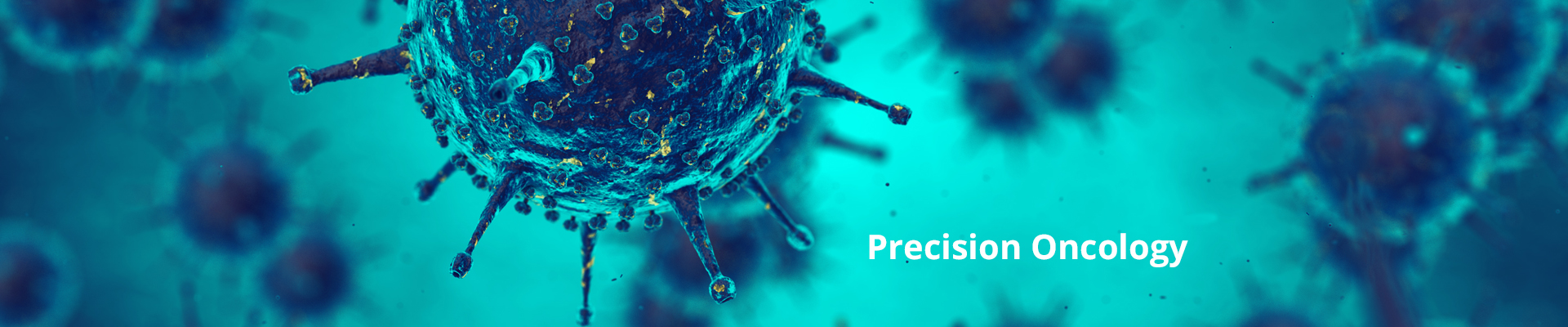 Precision-Oncology-V2